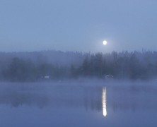 A Bright Moonlit Night