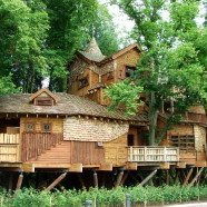 Kelly & Rory Build A Treehouse In The Basement